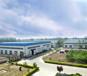 山东草莓视频黄版免费下载安装网站智能装备有限公司实景